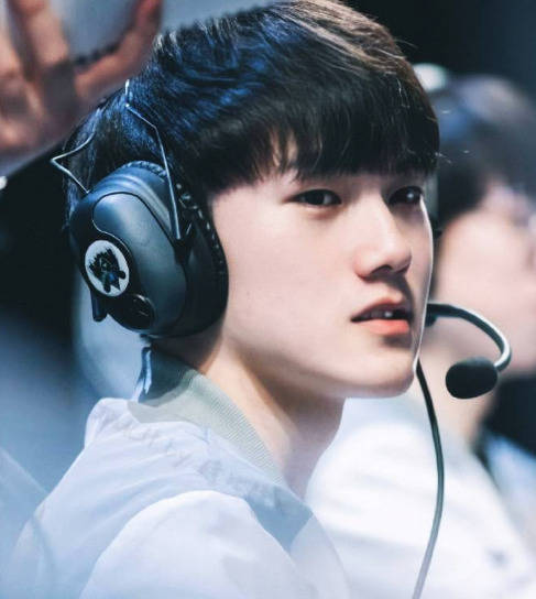 综述抓住四 综述抓住四