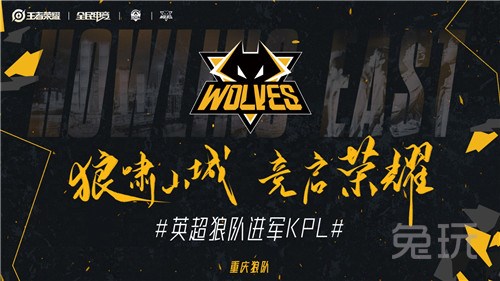 投票